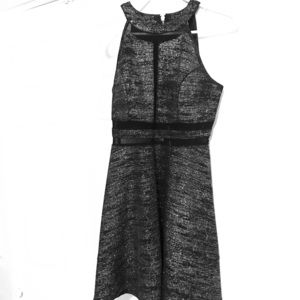 Sparkly nye fit and flare dress with sheer details